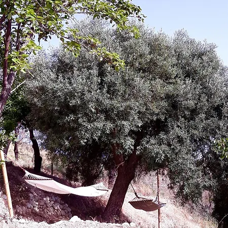 بيت للعطل Casa Carmela Avola-noto أفولا